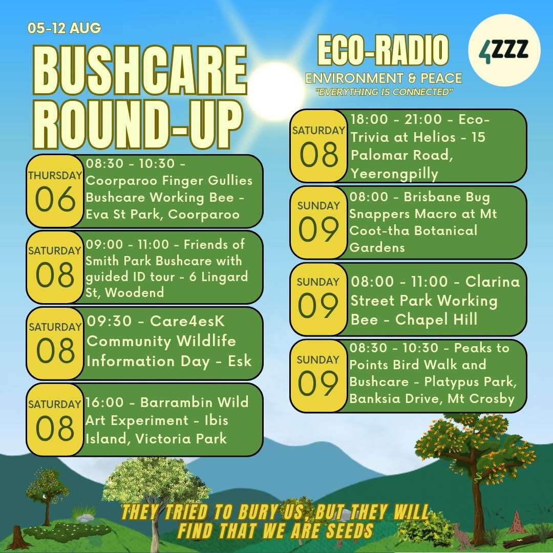 Save Woogaroo Forest w/ Dr Christina Zdenek episode artwork