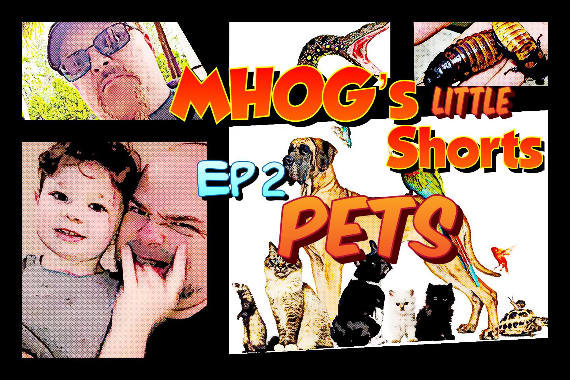 MHOG's Little Shorts : Ep #2 Pets episode artwork