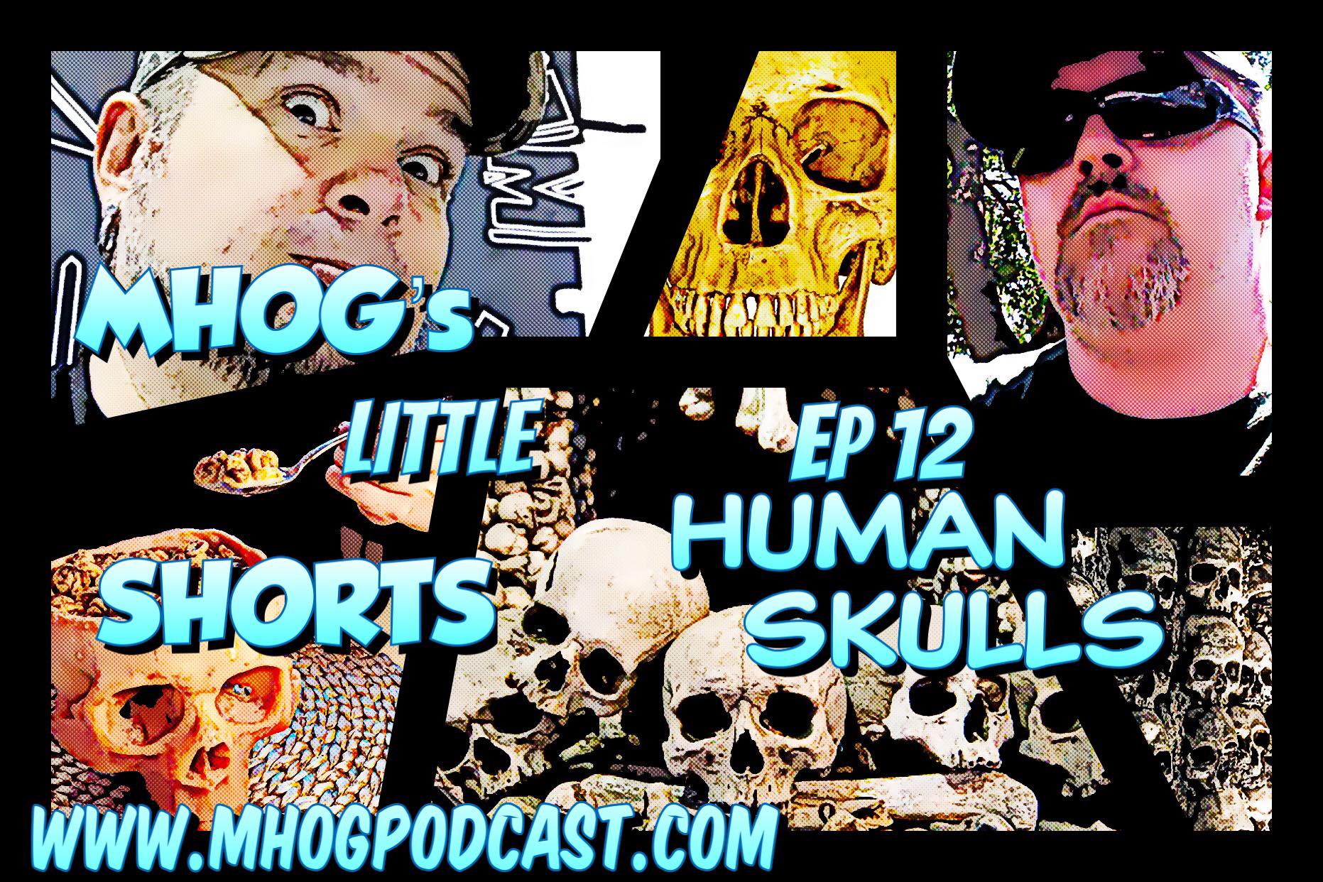 MHOG's Little Shorts: Ep #12 Human Skulls episode artwork