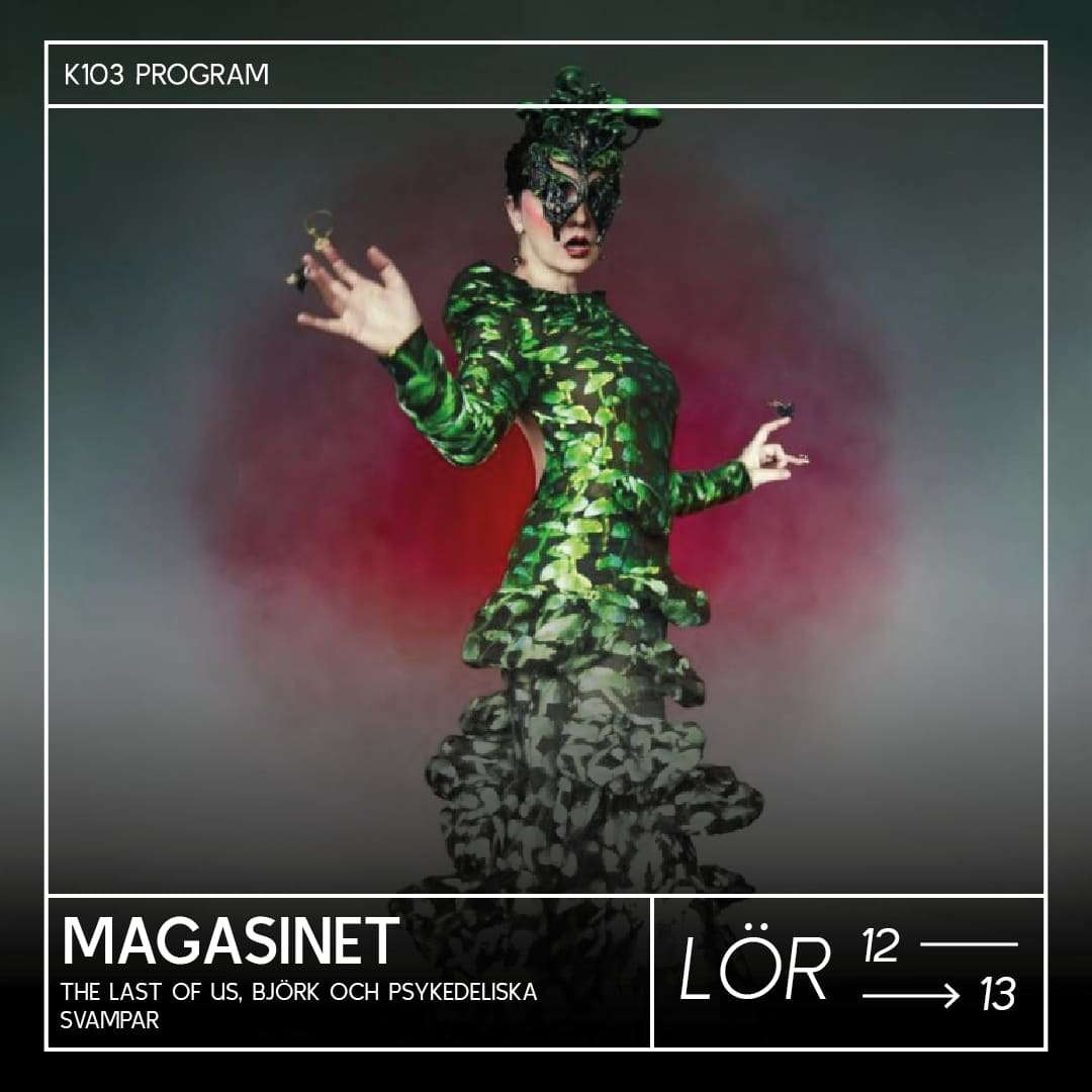 The Last of Us, Björk & psykedeliska svampar