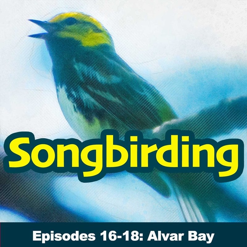 Songbirding Under 5kHz