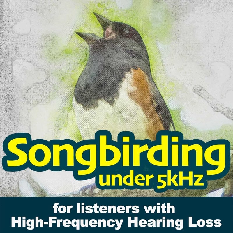 Songbirding Under 5kHz