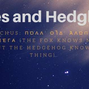 Foxes and Hedgehogs