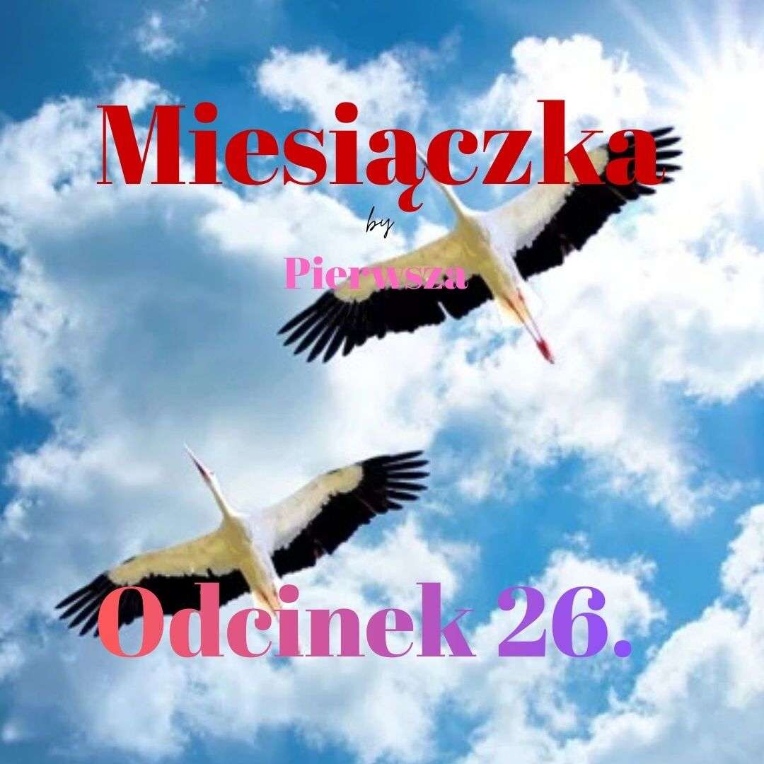 Miesiączka by KKP #26 Miesiączka by KKP #26