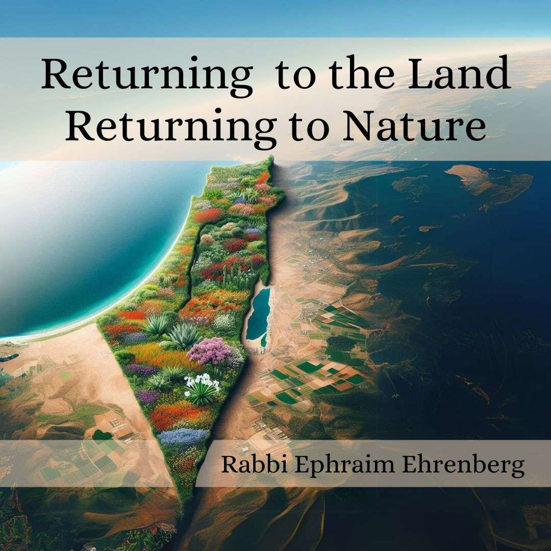 Learning to Live with Rabbi Ephraim Ehrenberg