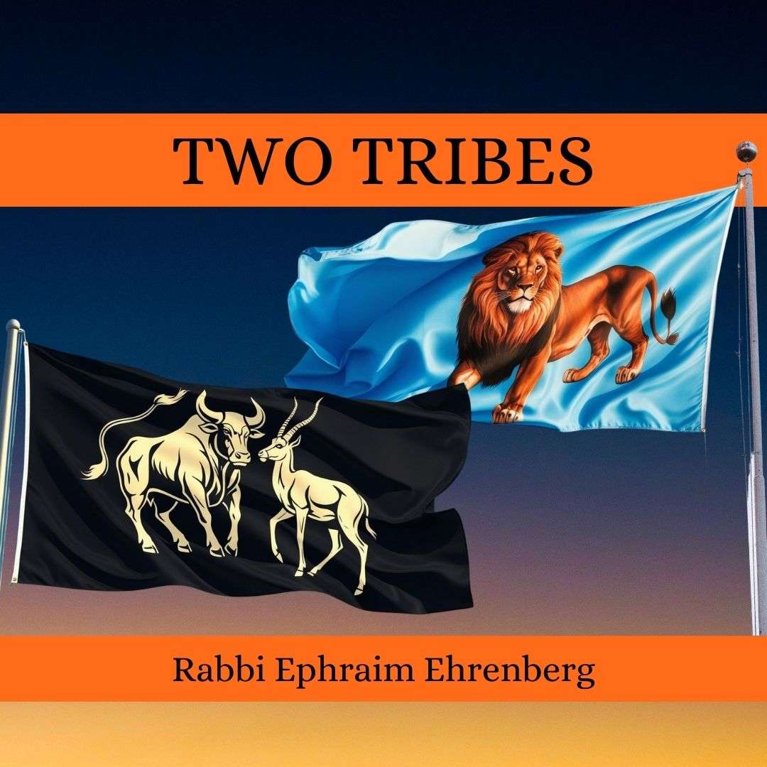 Learning to Live with Rabbi Ephraim Ehrenberg