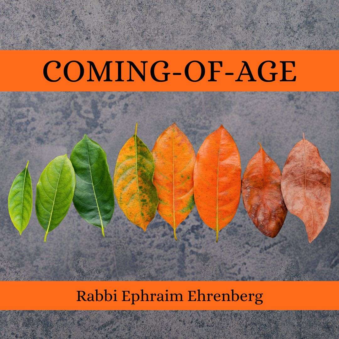 Learning to Live with Rabbi Ephraim Ehrenberg