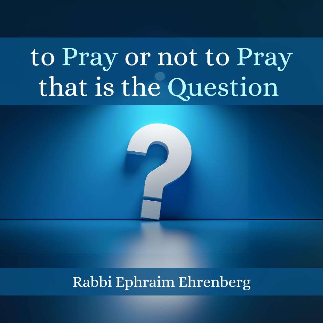Learning to Live with Rabbi Ephraim Ehrenberg