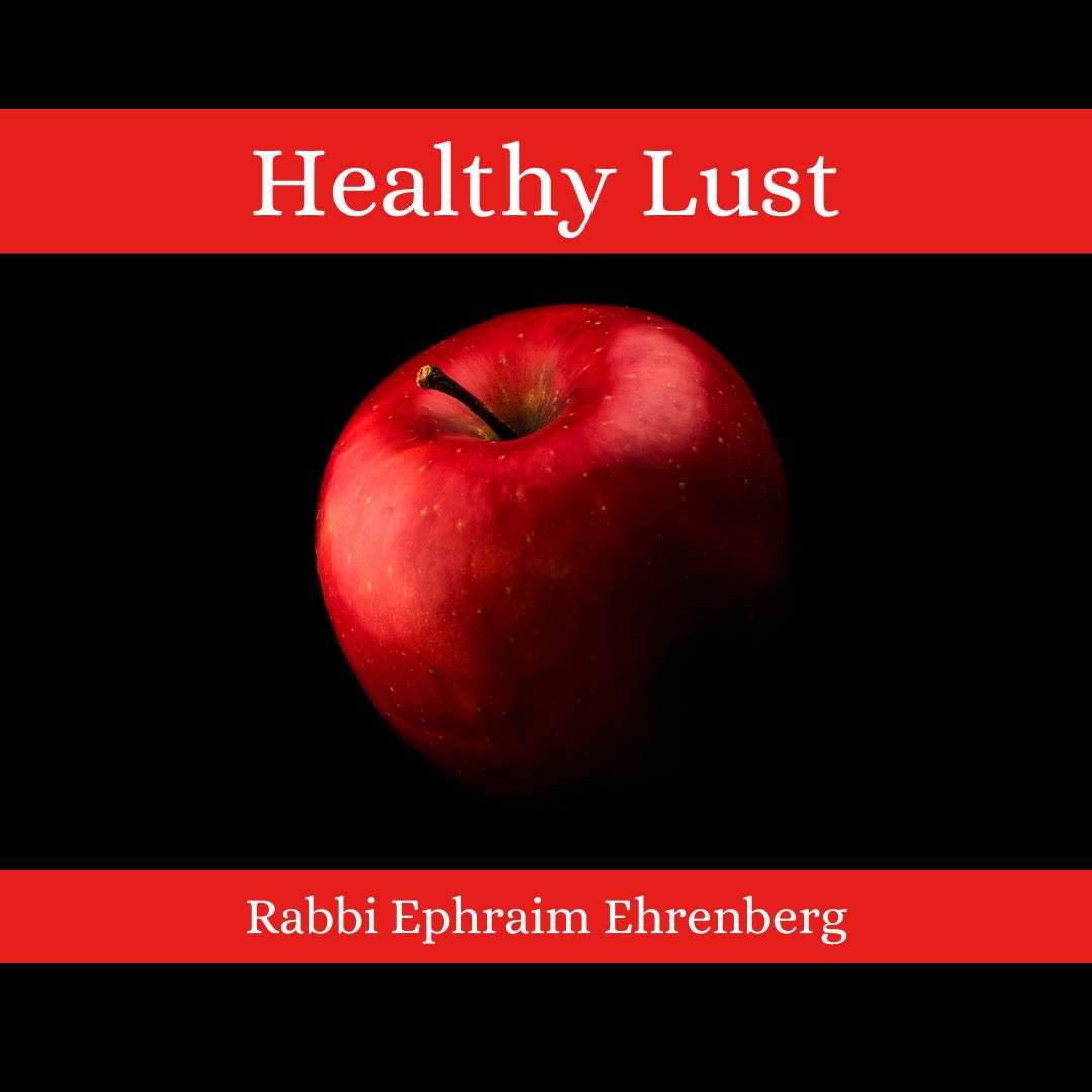 Learning to Live with Rabbi Ephraim Ehrenberg