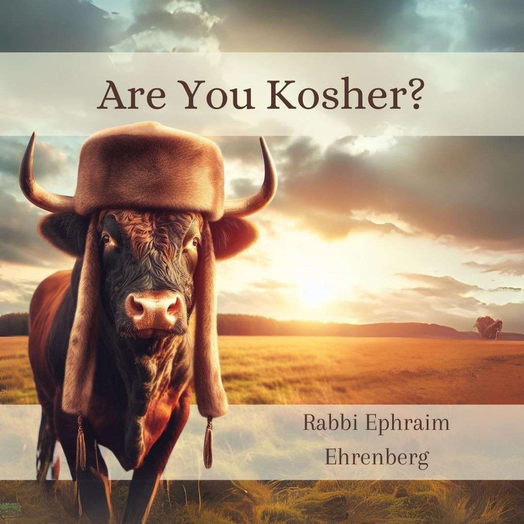 Learning to Live with Rabbi Ephraim Ehrenberg