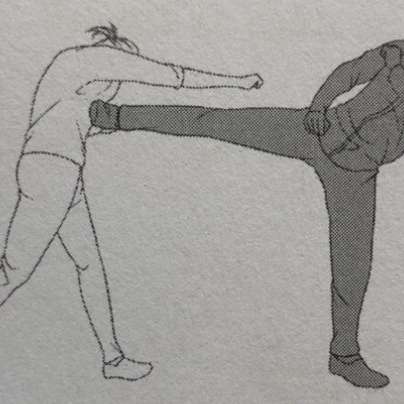 Fighting forms at the gate. episode artwork