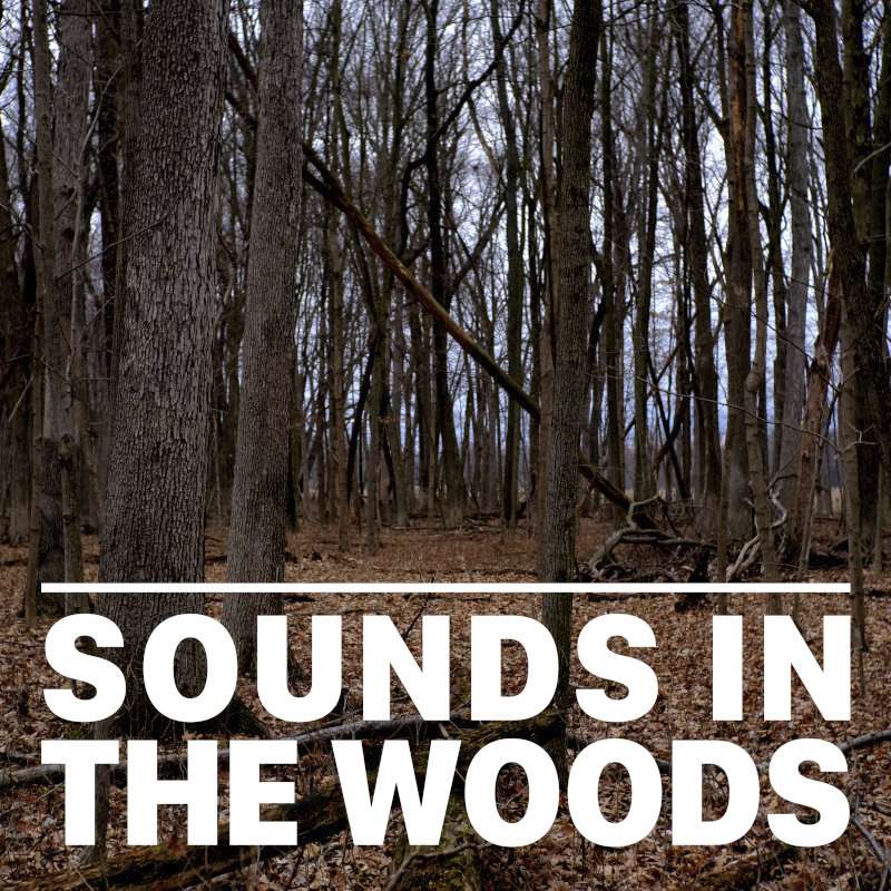 Ep.145 – Fawn River Nature Preserve