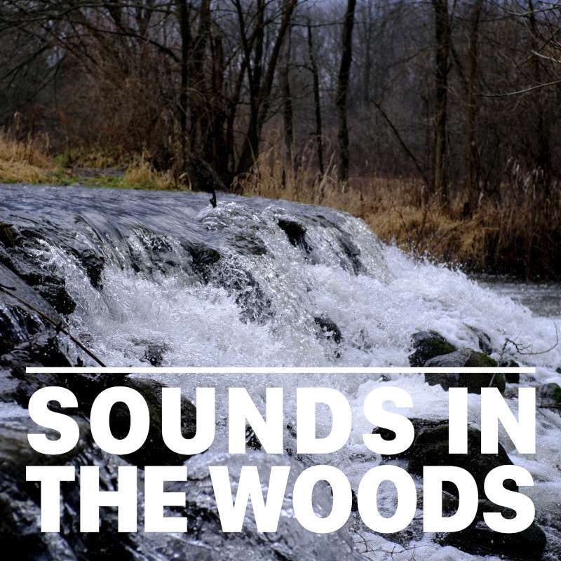 Ep.141 – Bonneyville Mill County Park