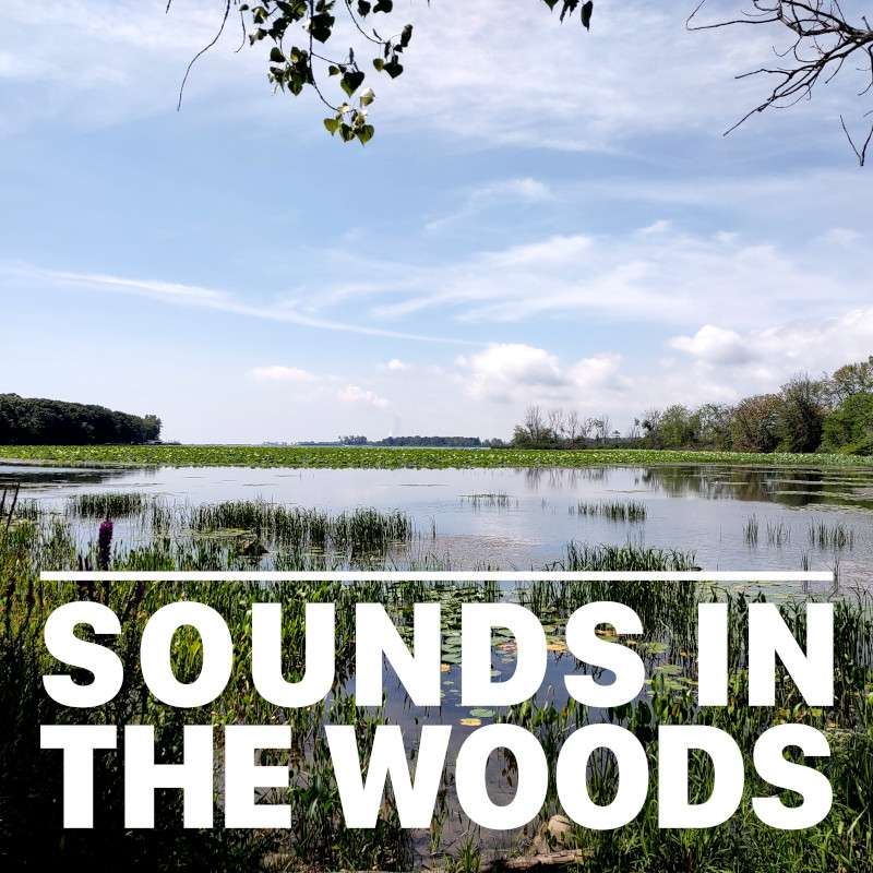 Ep.137 – Gibraltar Bay Unit: Detroit River International Wildlife Refuge
