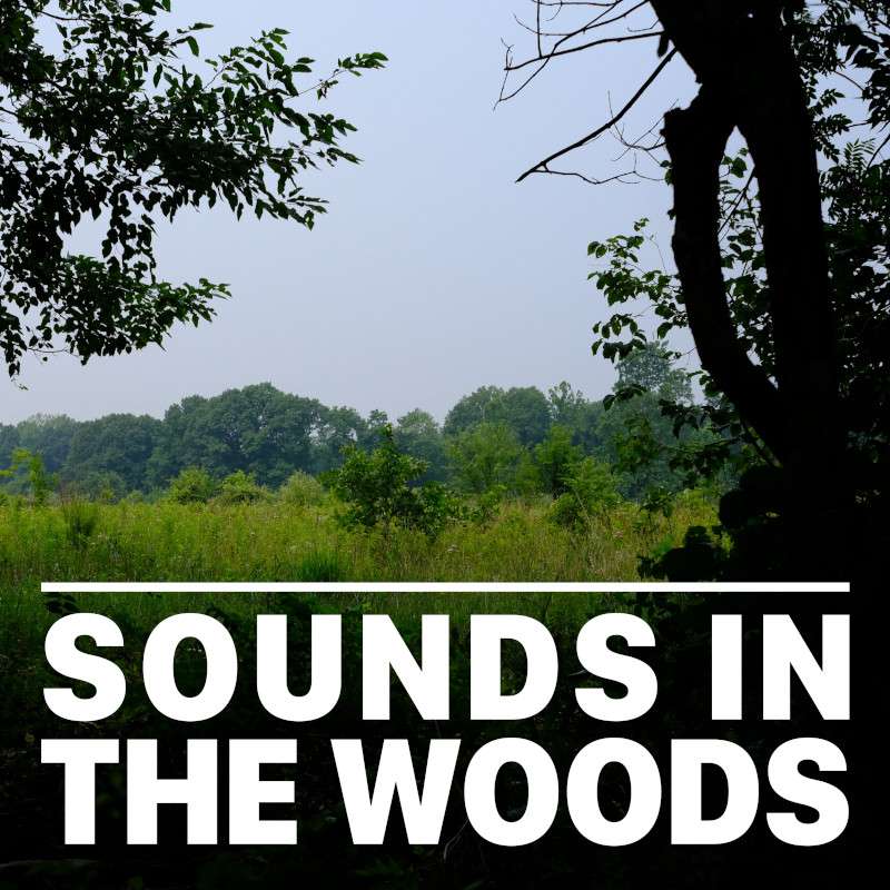 Ep.135 – Pigeon River Fish and Wildlife Area