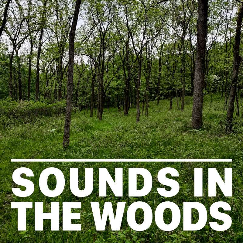 Ep.133 – Loon Lake Nature Preserve