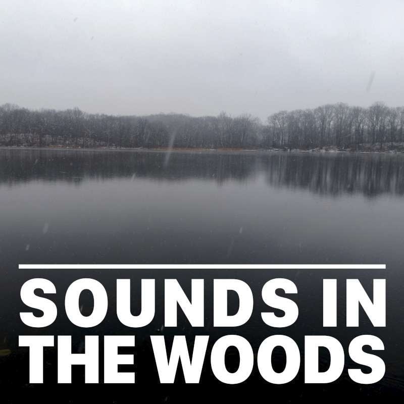 Ep.139 – Glacial Esker Nature Preserve: Chain O'Lakes State Park