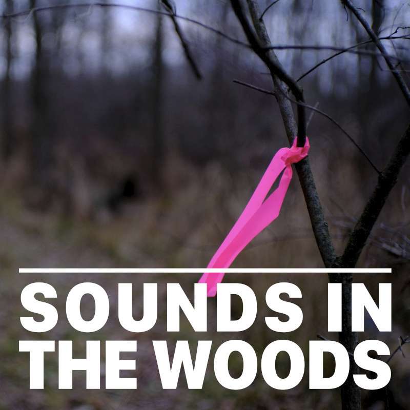 Ep.140 – Arrowhead Marsh Wetland Preserve