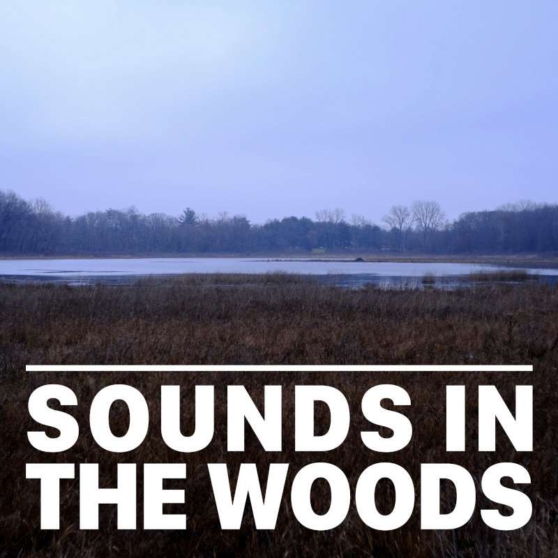 Ep.144 – Boot Lake Nature Preserve