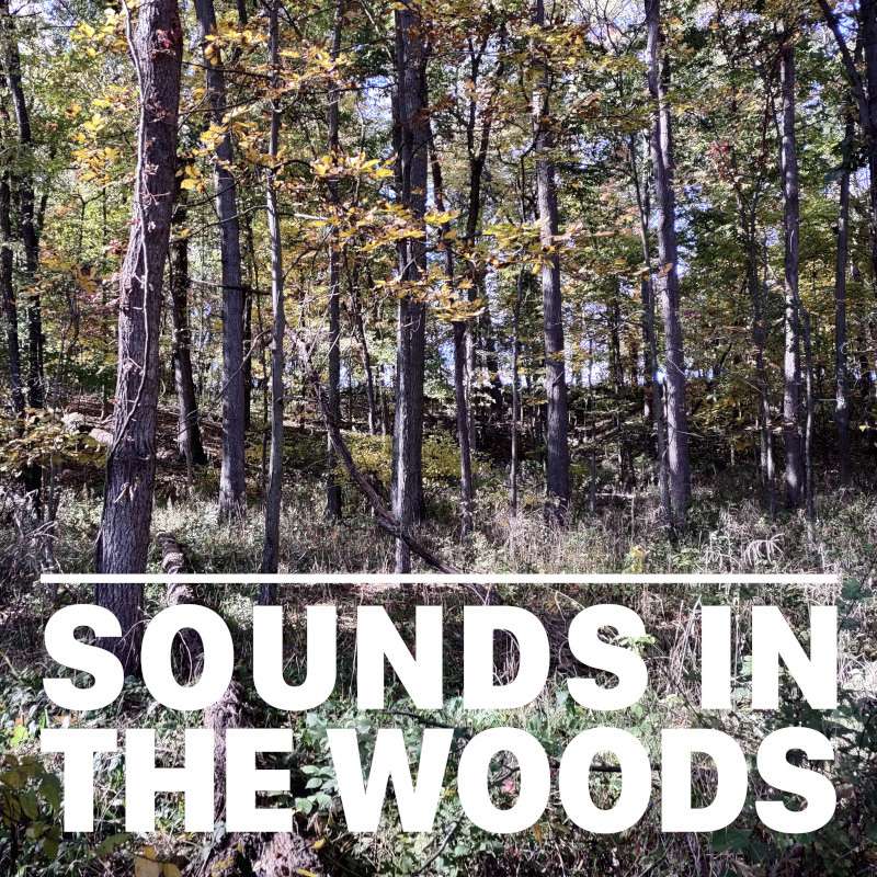 Ep.138 – Plumb Lake County Park