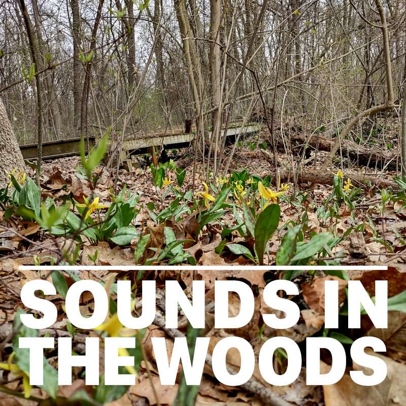 Ep.130 – Kate Palmer Wildlife Sanctuary