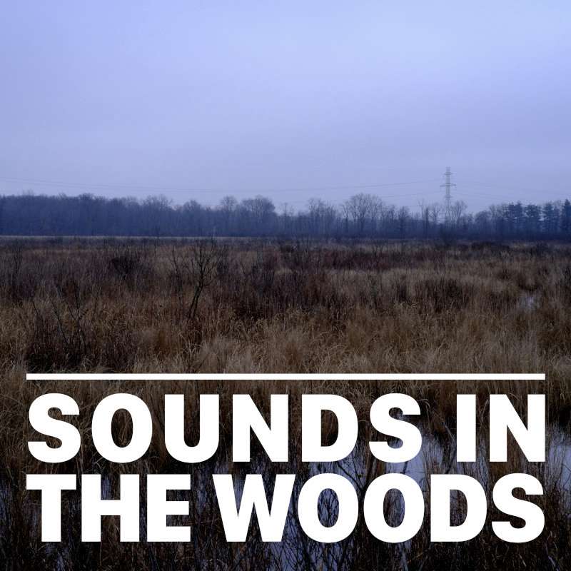 Ep.143 – Elkhart Bog Nature Preserve