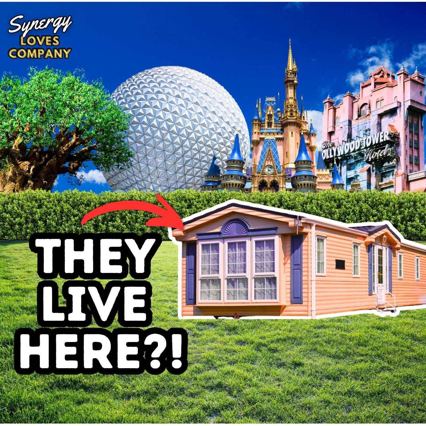 The Secret Residents of Walt Disney World