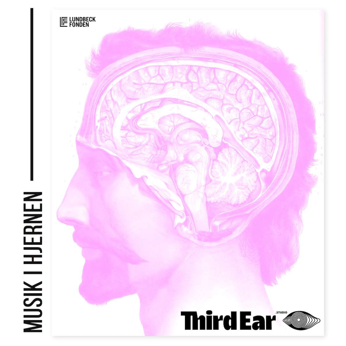 Artwork for Musik i Hjernen
