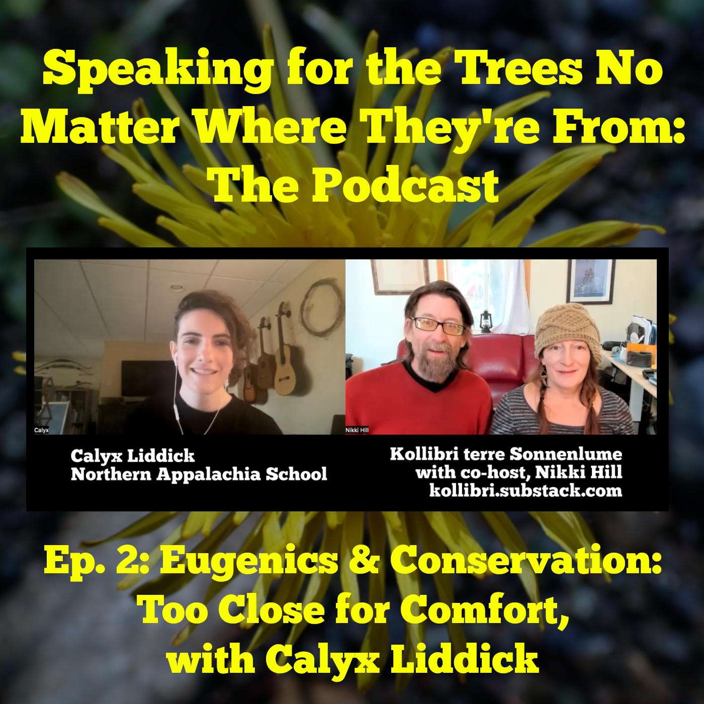 Speaking for the Trees, No Matter Where They\'re From