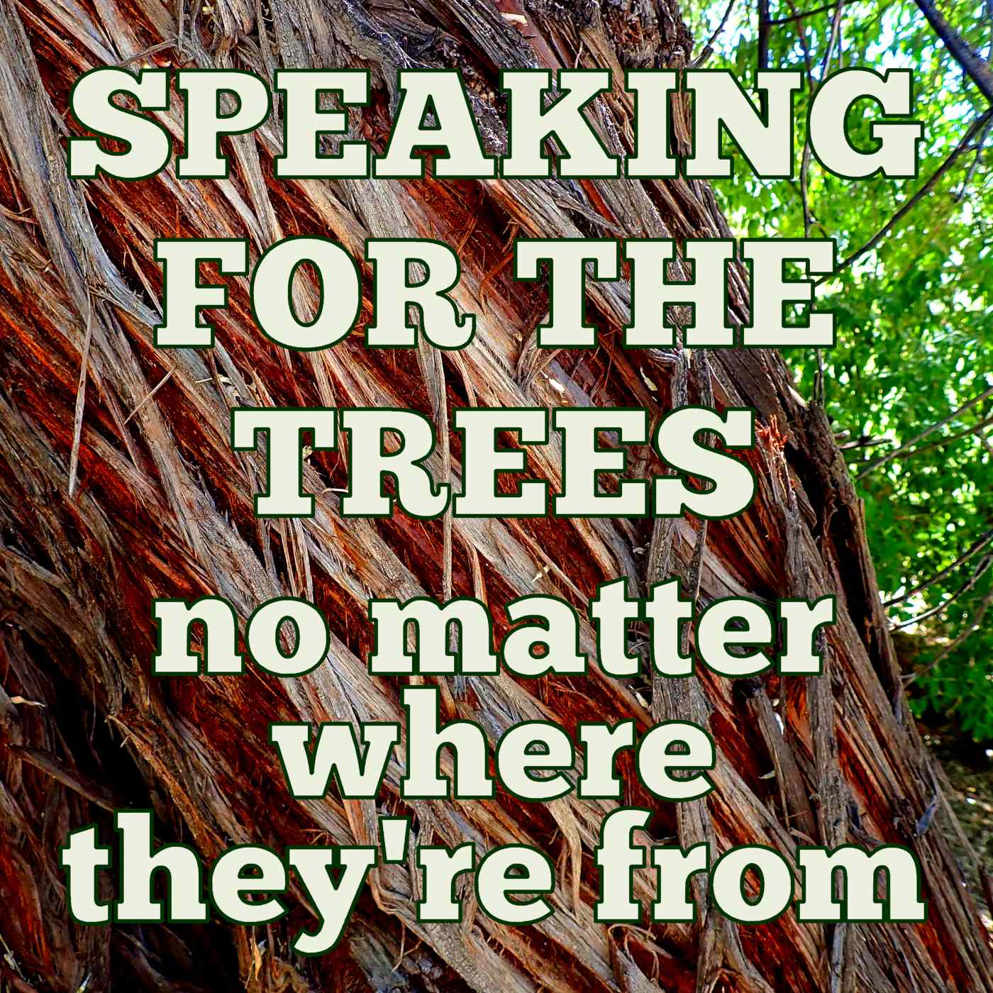 Speaking for the Trees, No Matter Where They\'re From