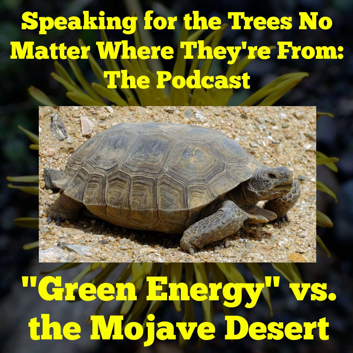 S1E4 - Green Energy vs. the Mojave Desert