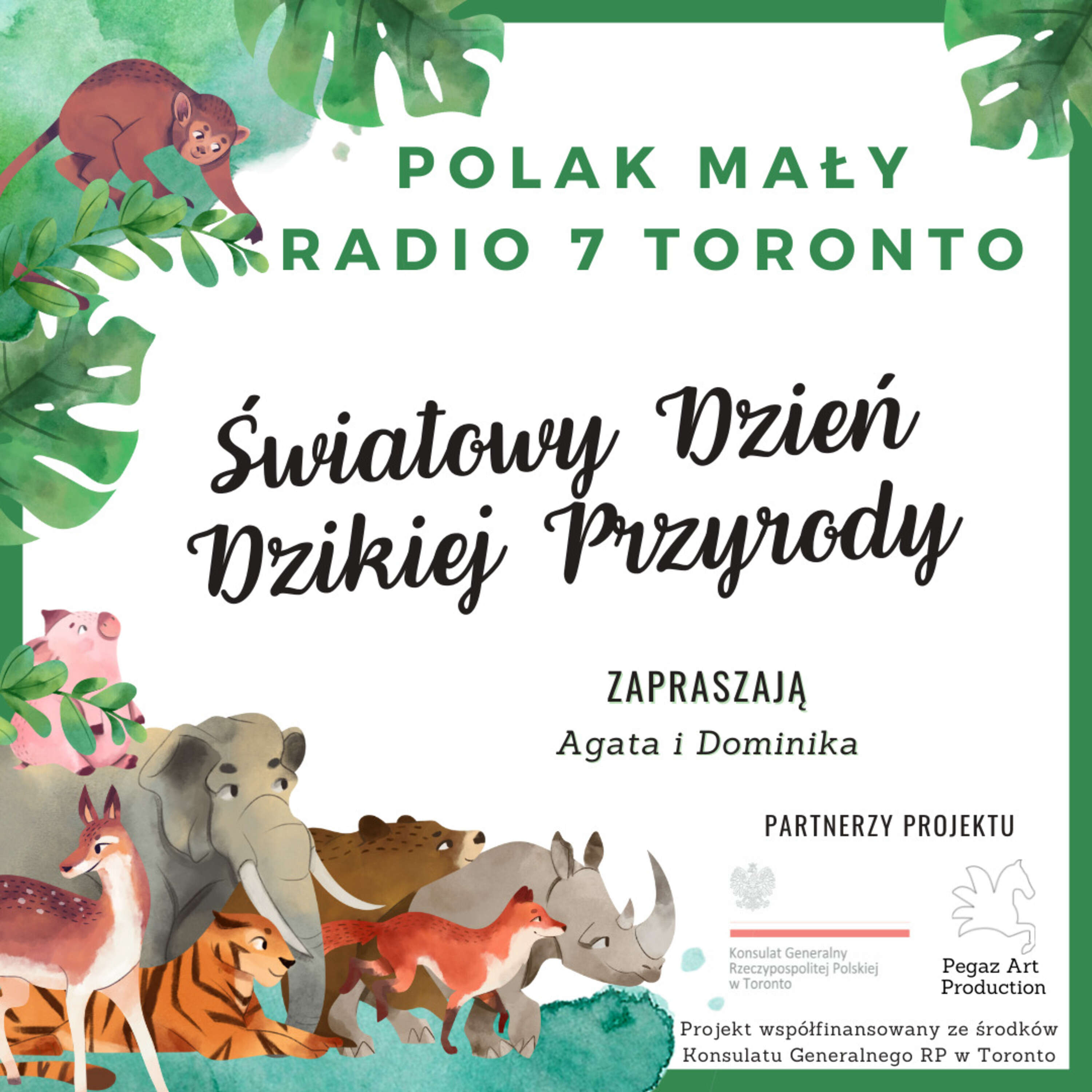 Polak Mały