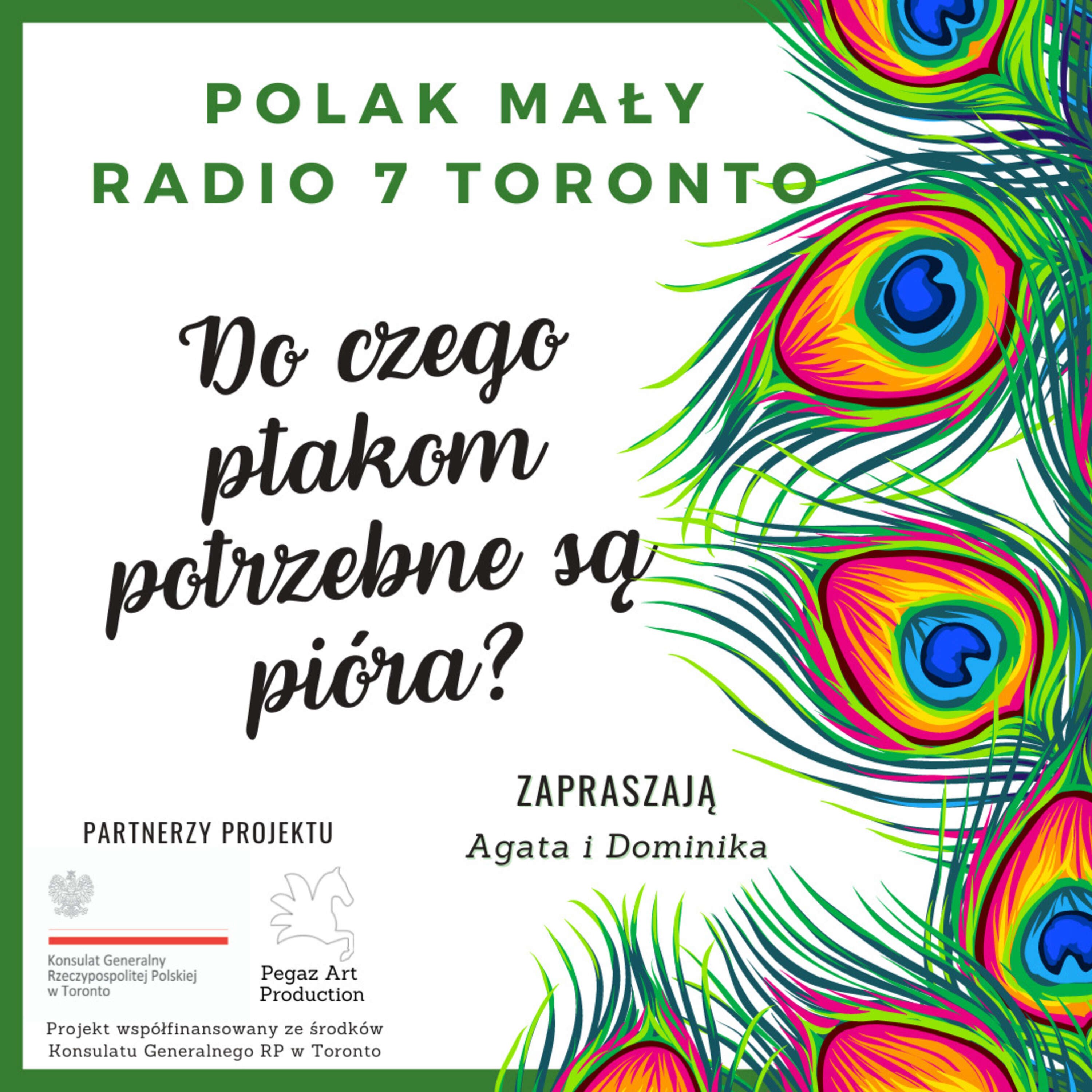 Polak Mały