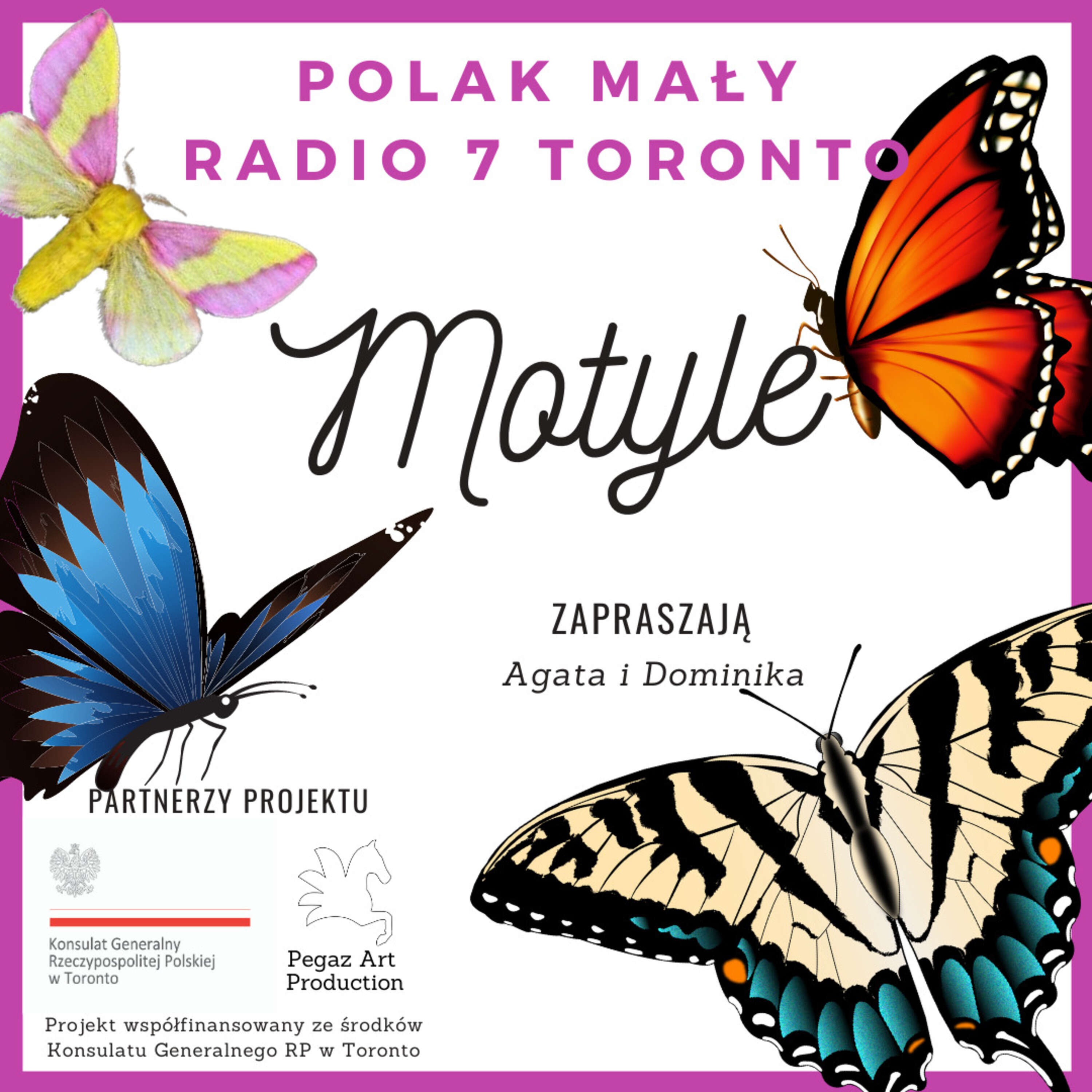Polak Mały