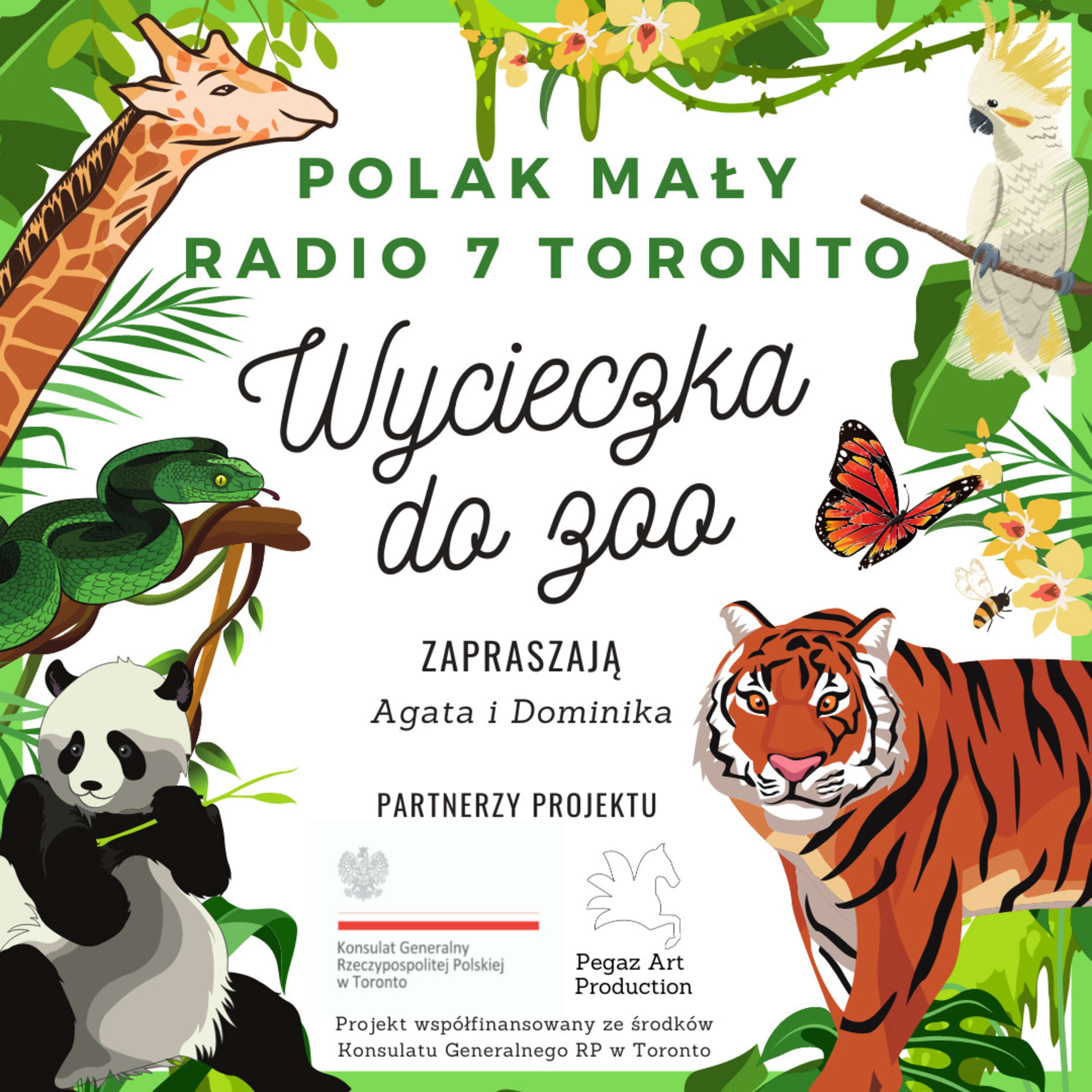 Polak Mały