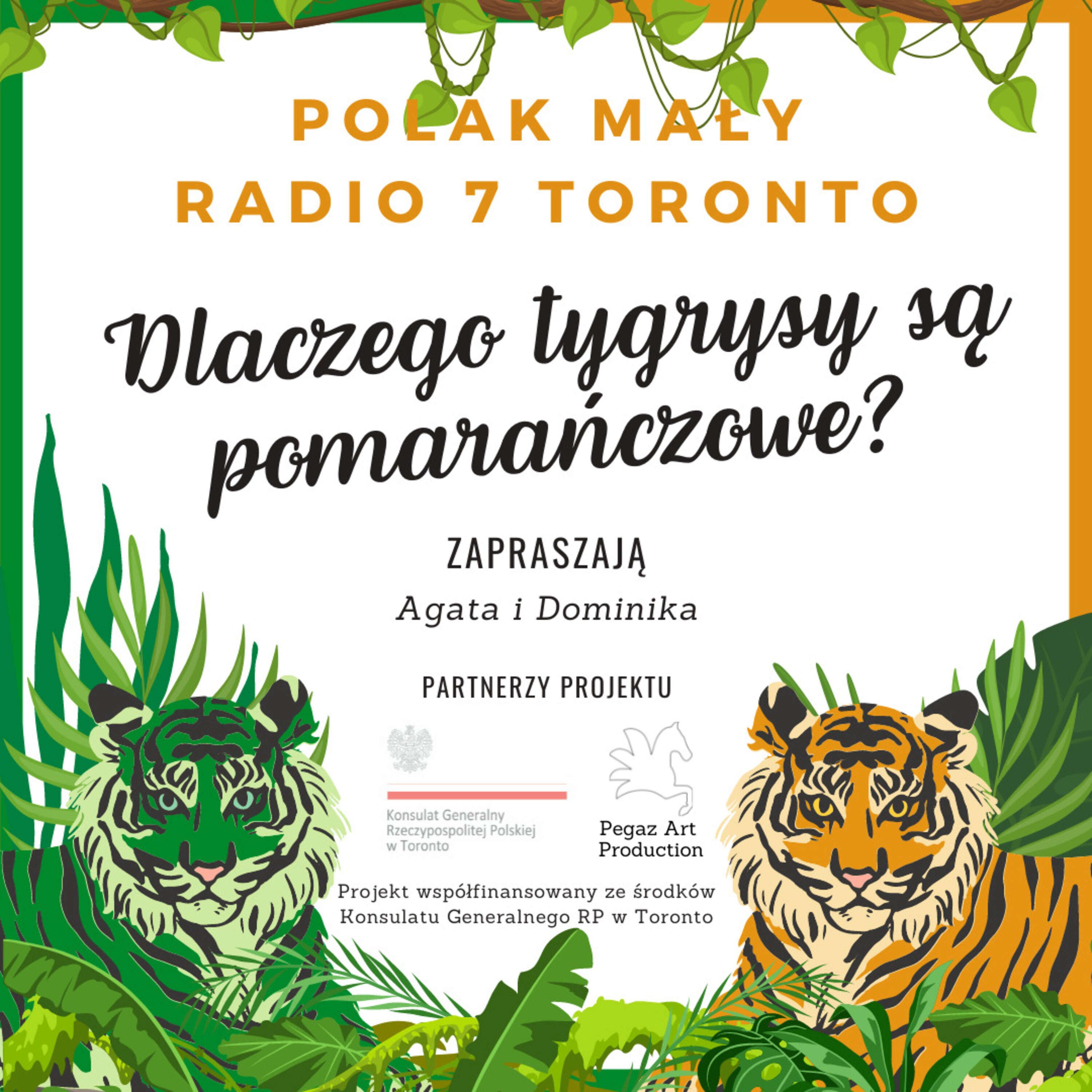 Polak Mały