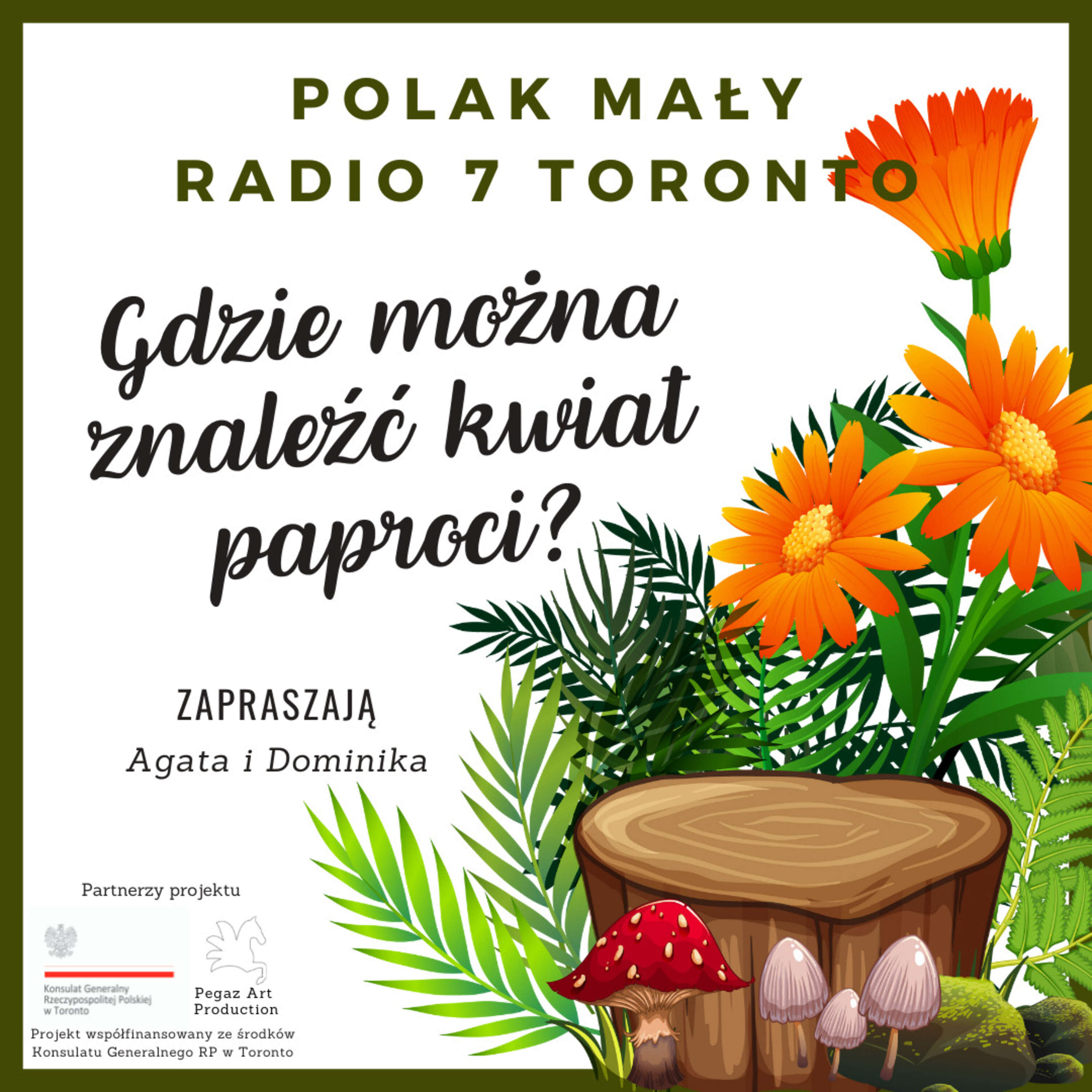 Polak Mały