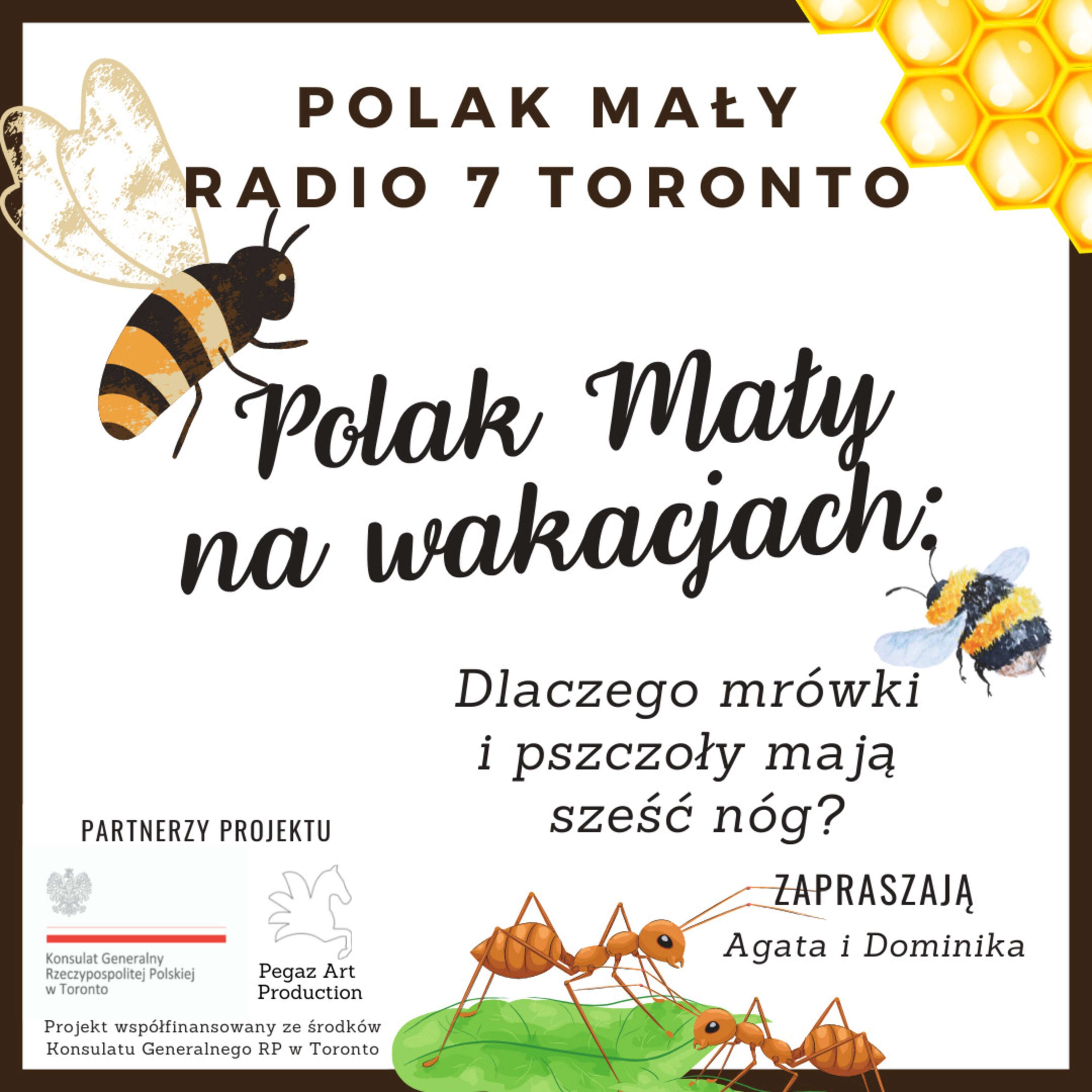 Polak Mały