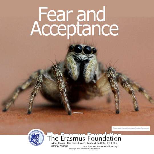 The Erasmus Foundation Podcast