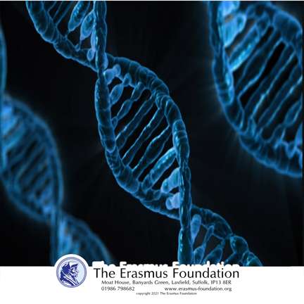 The Erasmus Foundation Podcast