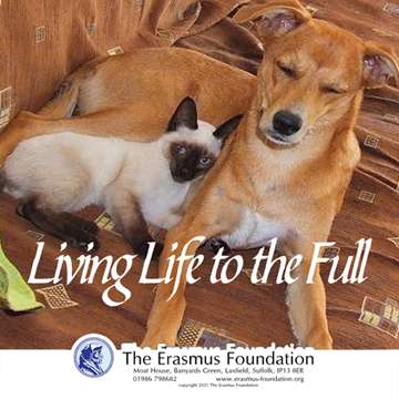 The Erasmus Foundation Podcast