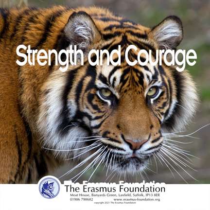 The Erasmus Foundation Podcast