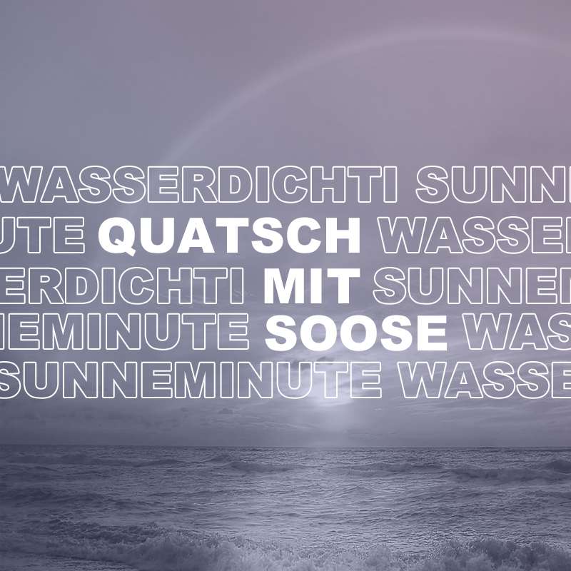 Quatsch mit Soose