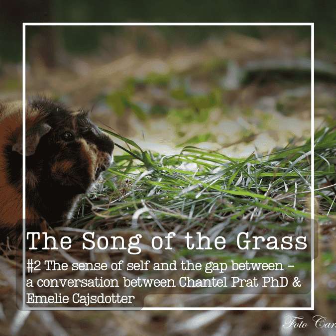 #2 The sense of self and the gap between - Chantel Prat PhD & Emelie Cajsdotter