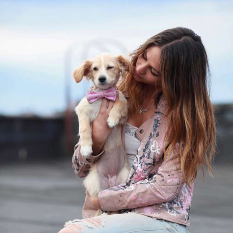 Episode 128: Shark Tank - an interview with Emily Strauss