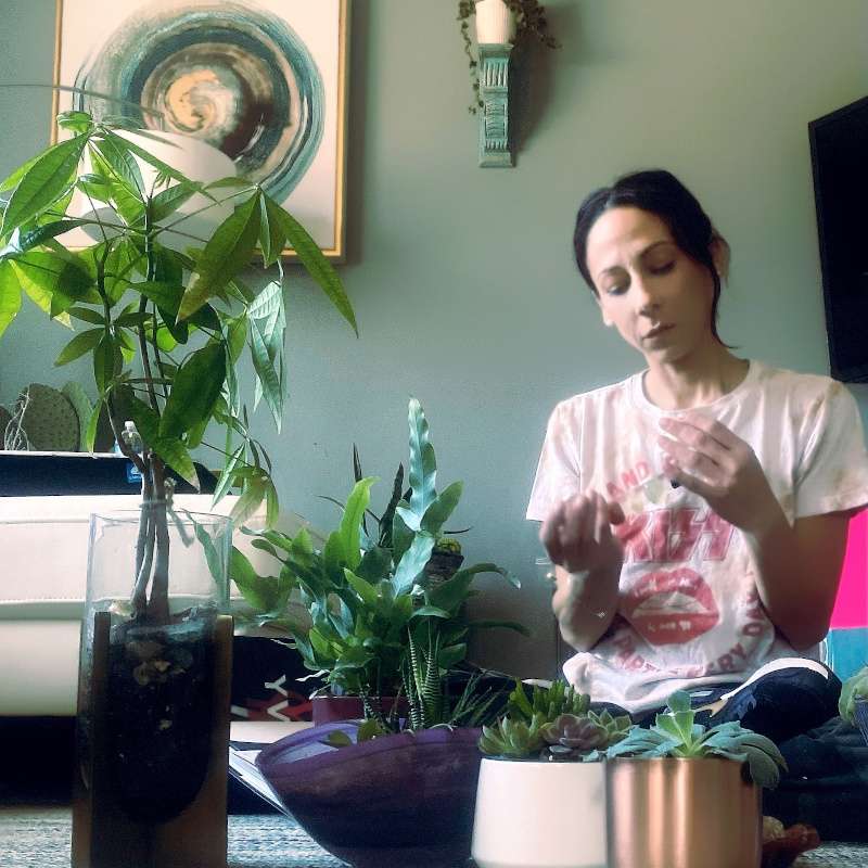 Episode 286: Escaping Toxicity - an interview with Dina Benedetto