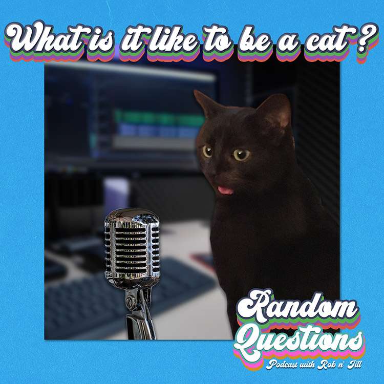 Random Questions