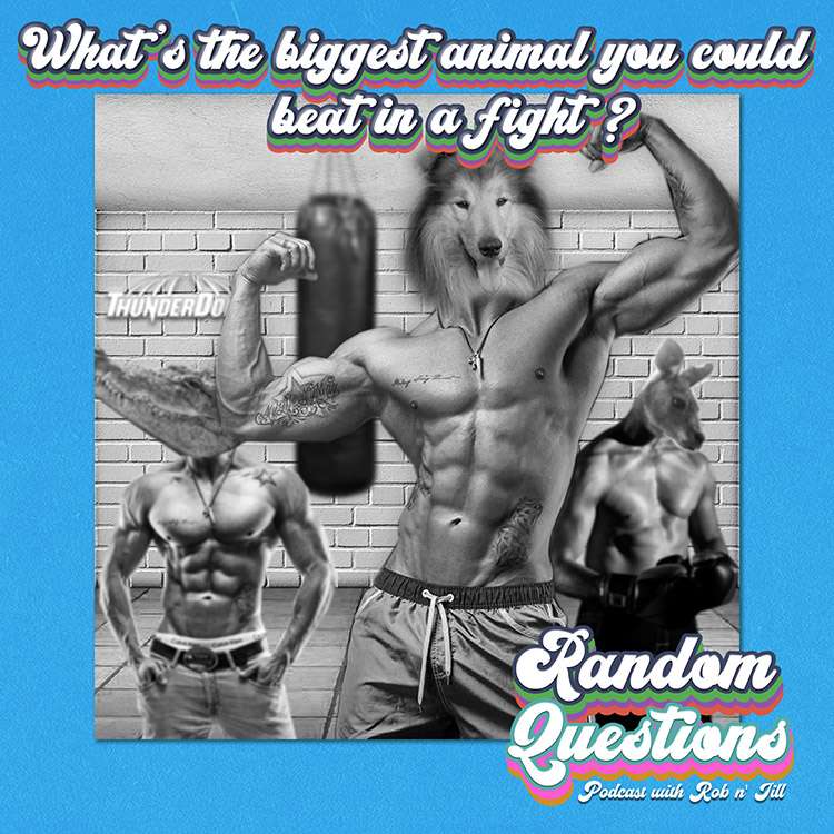 Random Questions