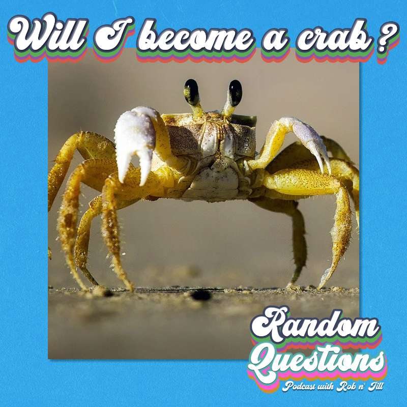 Random Questions
