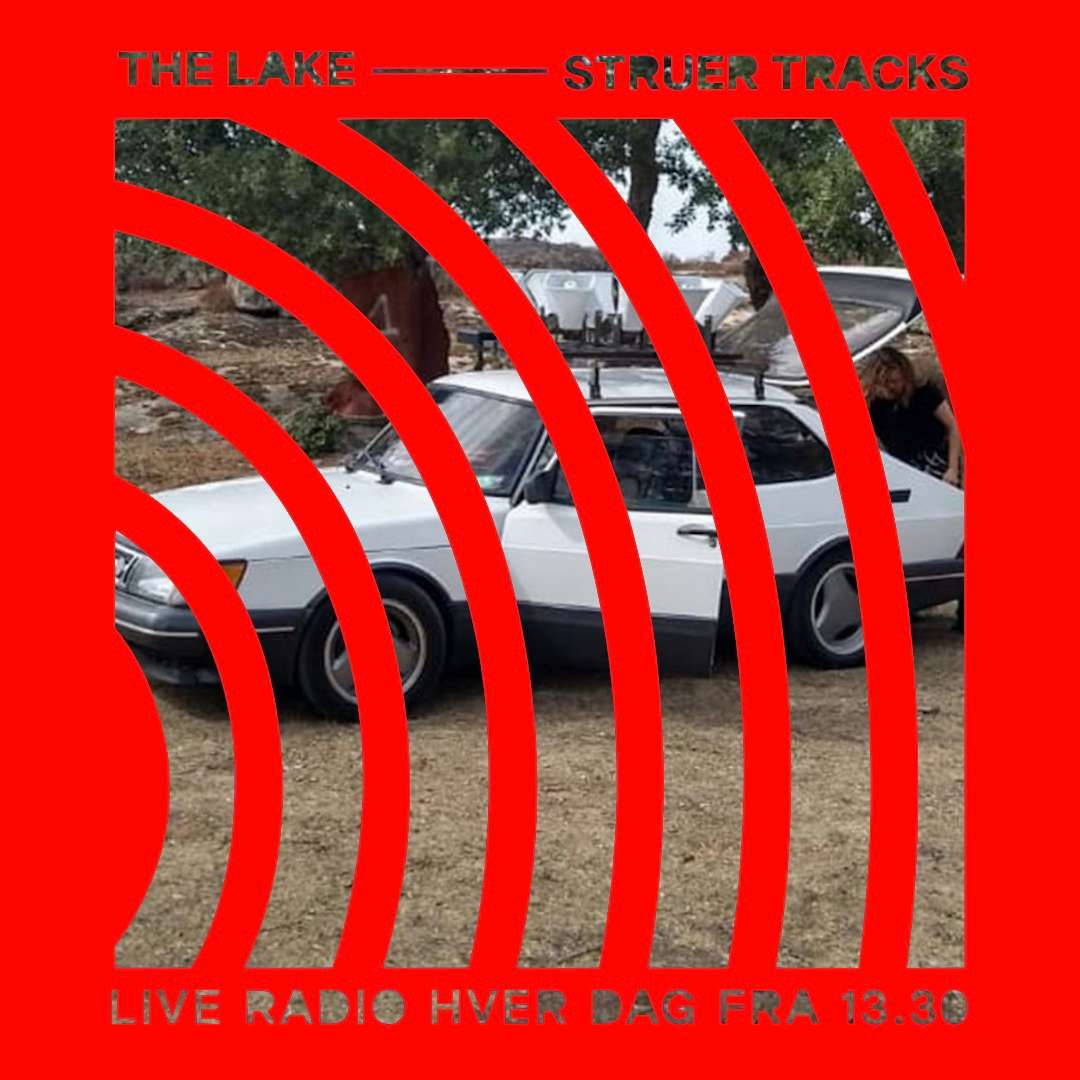 Driving in Amber Meulenijzer's Saab sculpture